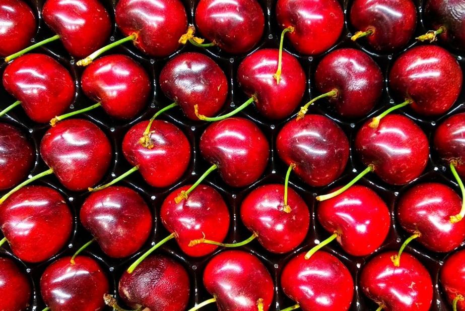exportacion de cerezas en España