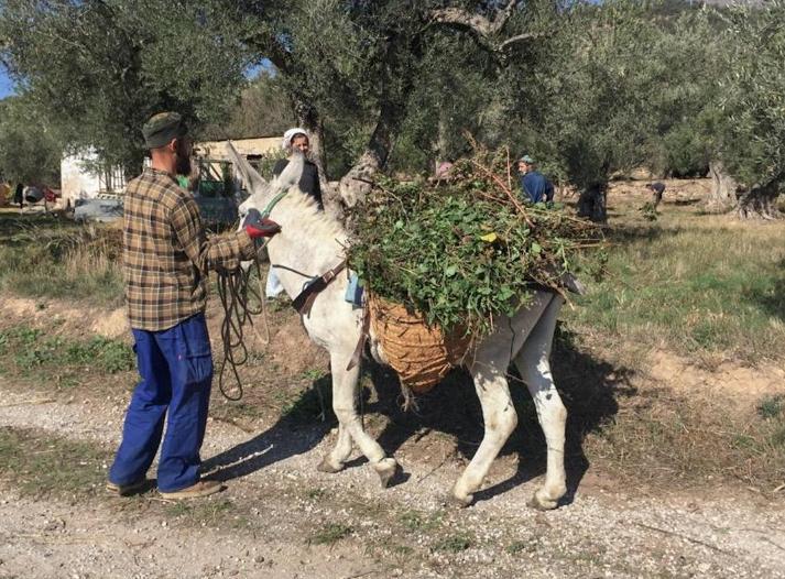 ecología de Andalucía