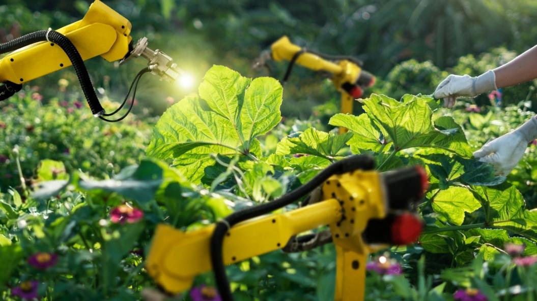 La automatización agrícola
