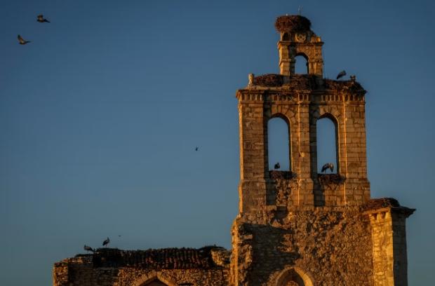 cigueñas en españa