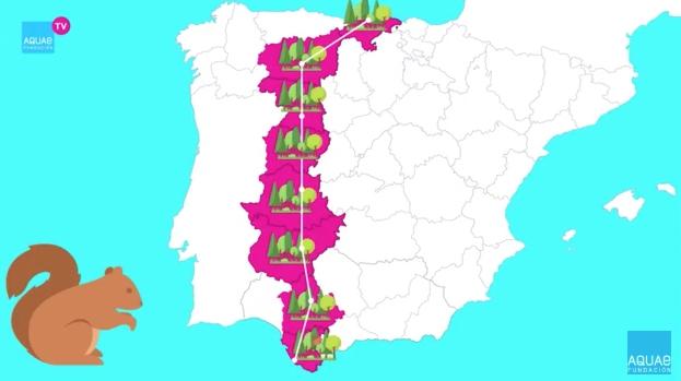 Deforestación en España