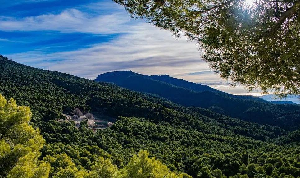 Deforestación en España