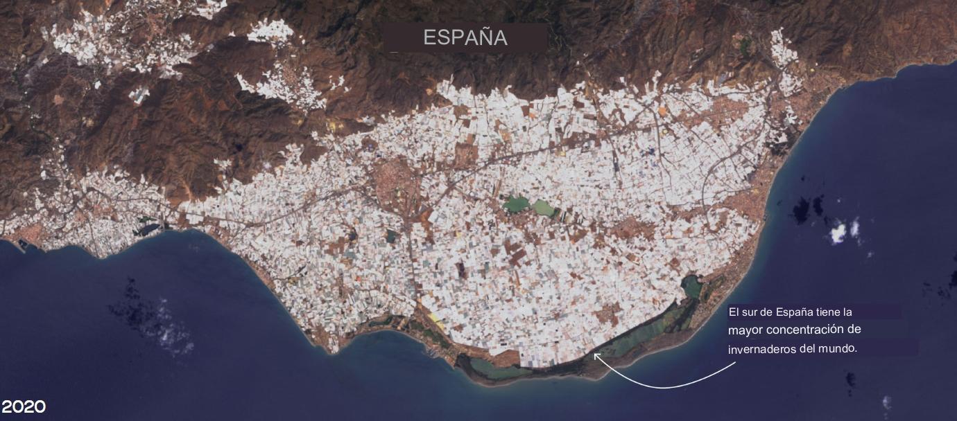 la zona de Almería (España) ha albergado la mayor concentración de invernaderos del mundo, con más de 260 km2