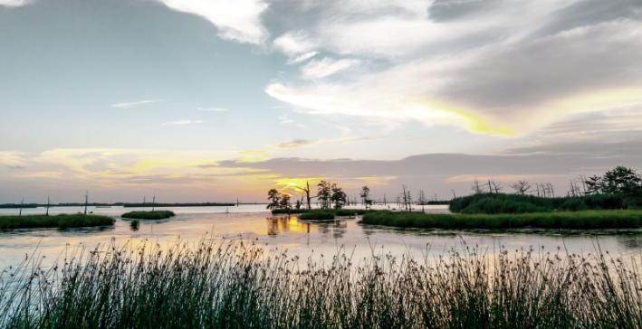 La importancia de la adaptación al cambio climático en Europa