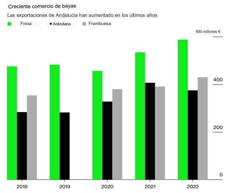 Creciente comercio de bayas