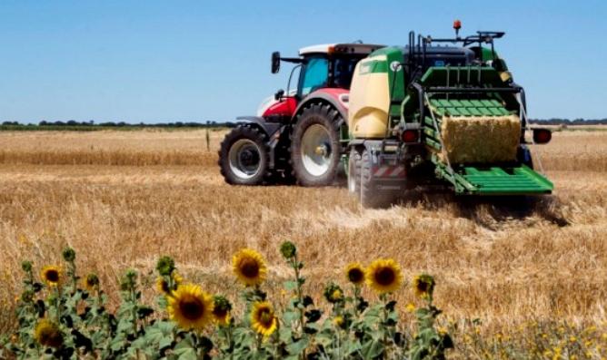 The cereal season affected by drought